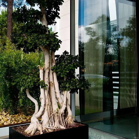 فندق Lavanda Miravillas