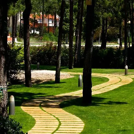 Lavanda Miravillas برايا دي ميرا