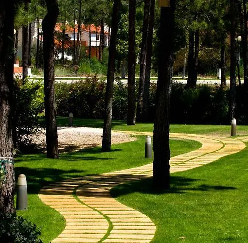 Lavanda Miravillas Praia de Mira